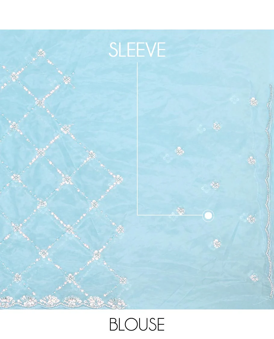 Blue jaal design kardana & sequins embroidered designer saree, scallop kardana & sequins embroidered border - Image 3
