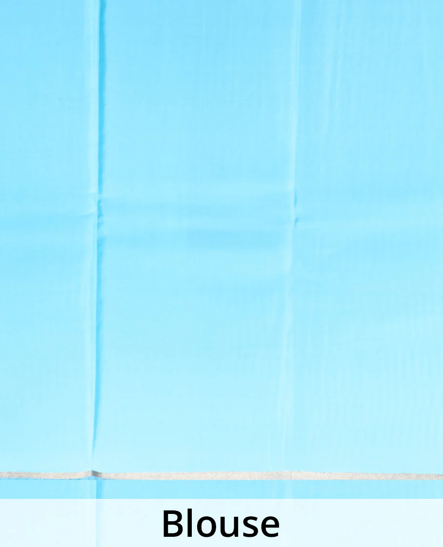 Blue zari design Mysore silk saree, zari striped border, and chevron striped pallu - Image 5