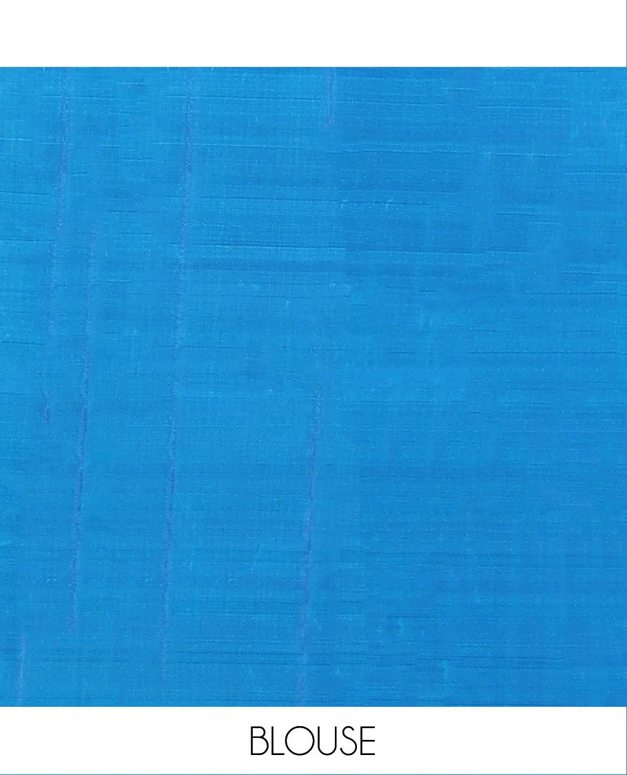 Blue zari striped Vasundhara Lite Silk Mix Saree, zari border of round motifs, and pallu of intricate designs - Image 6