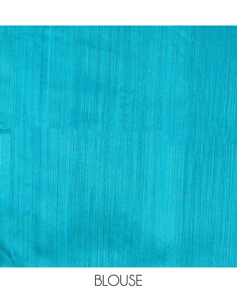 Borderless blue sequins embroidery and temple design, organza silk saree - Image 6