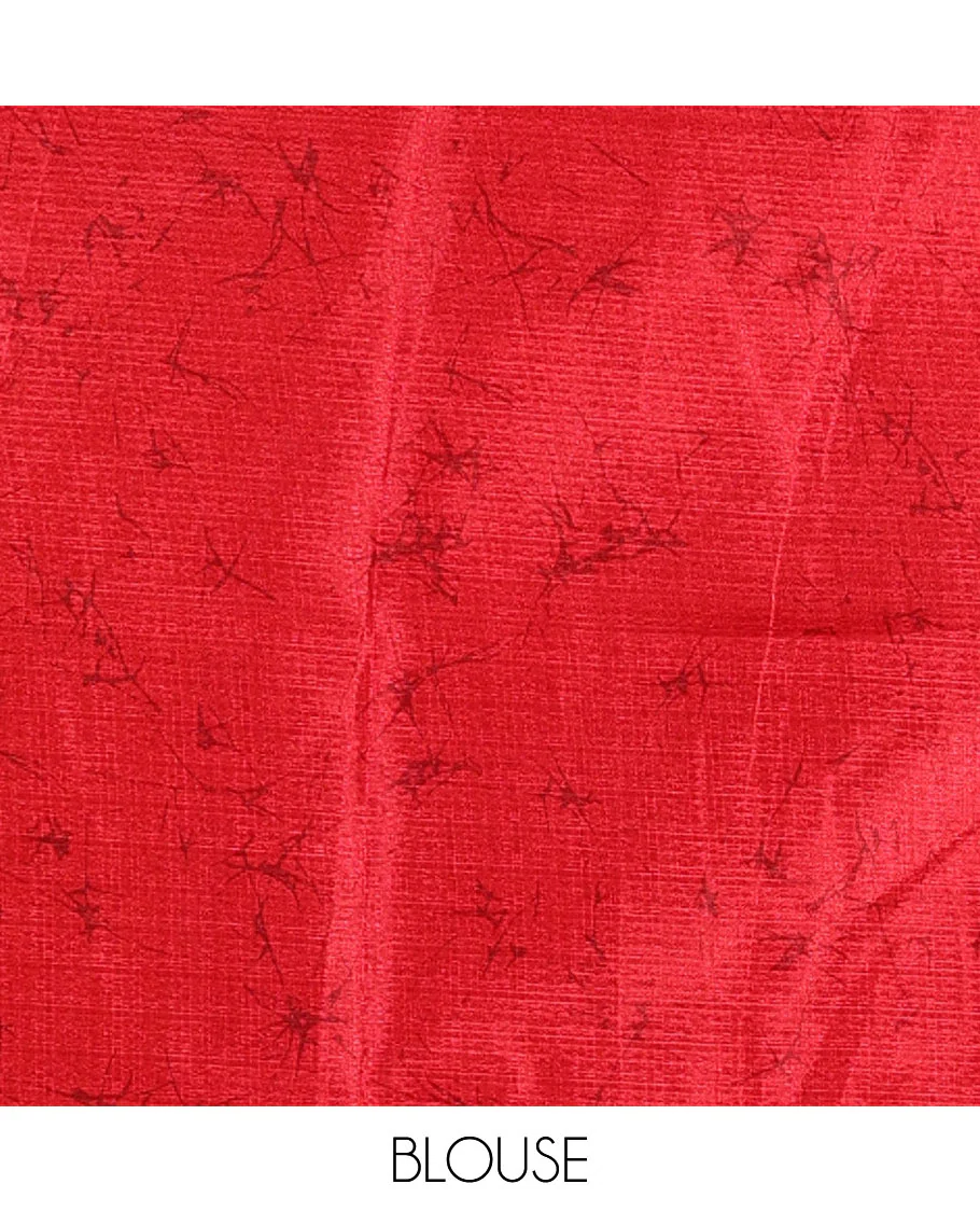 Borderless red fancy motifs batik-printed art khadi silk saree, contrast printed pallu, and a printed blouse - Image 3