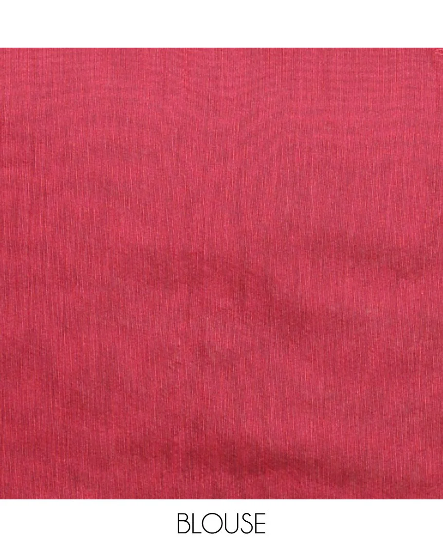 Borderless red stripes and triangle buttas woven semi-silk cotton saree, zari-rich geometric patterned pallu - Image 3