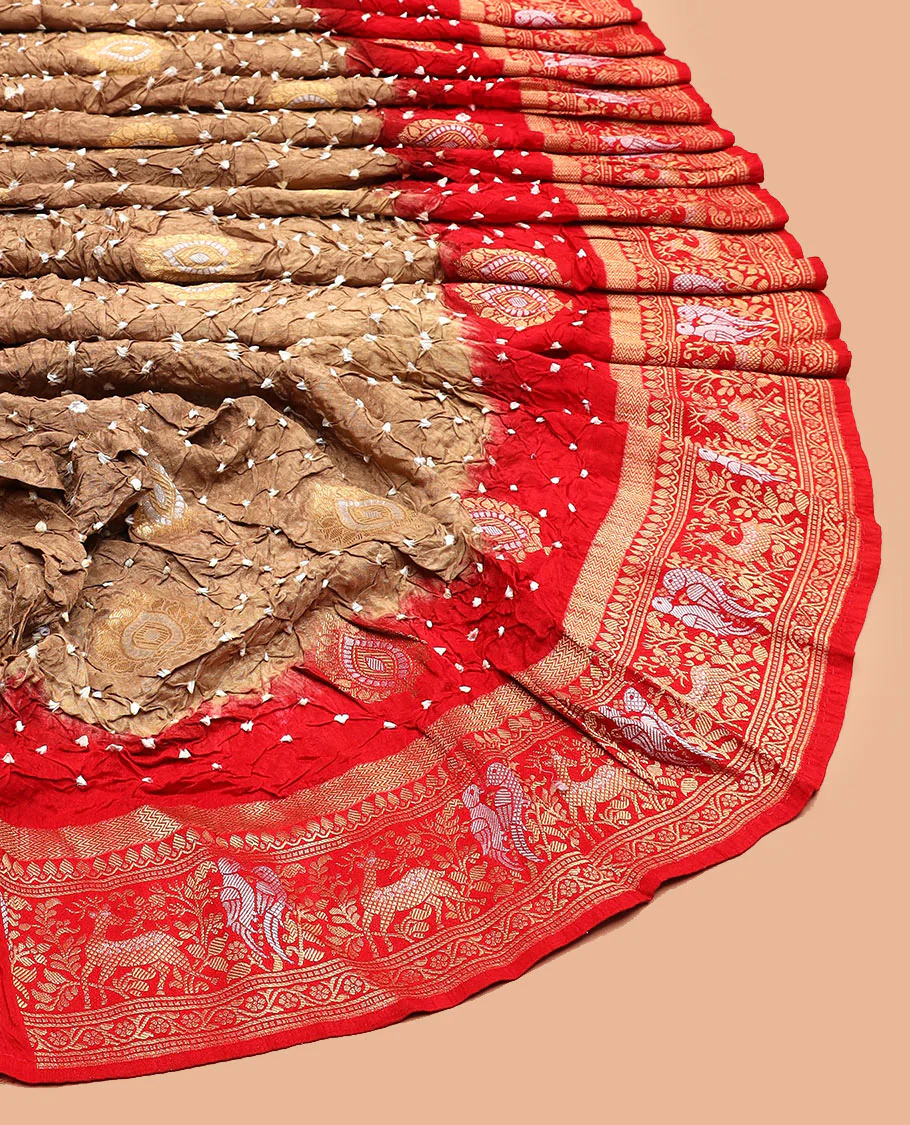 Brown bandhani dots and zari buttas bandhani silk saree, contrast flora-fauna motifs woven border, and patola elephant enclosed ogee patterned pallu - Image 2