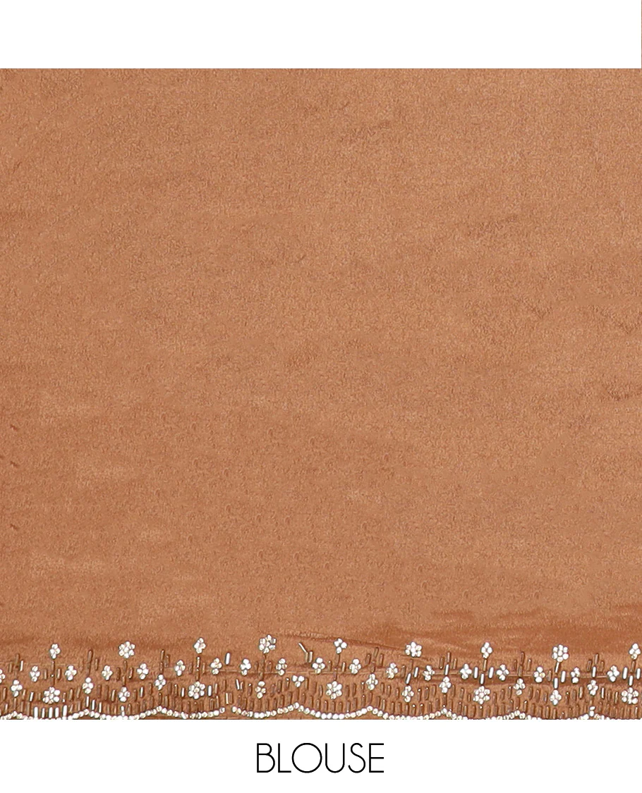 Brown stone and tube bead embroidered designer saree, scallop stone and kardana embroidered border - Image 5