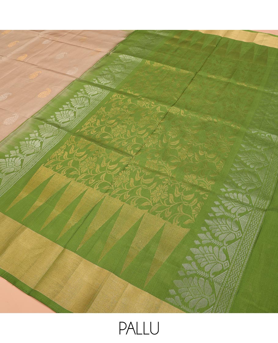 Chiku Color Uppada Silk Saree Adorned with Paisley Buttas, Subtle Contrast Border of Temple Gopuram Motifs, Captivating Pallu Featuring Floral Jaal Design, and Paired with a Contrast Blouse - Image 5