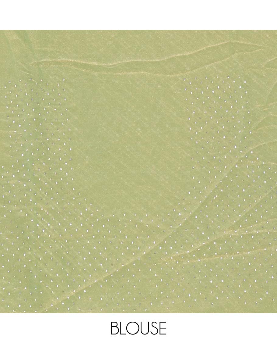 Green diagonal striped foli printed shimmer chiffon saree, scallop jarkan stone work border, self-pallu, and plain blouse - Image 3