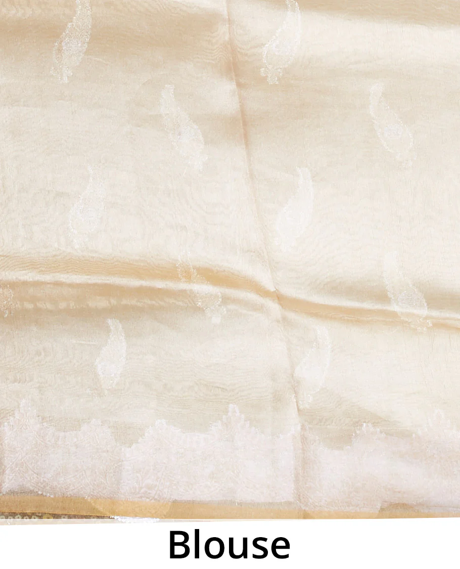 Orange tissue silk saree with paisley buttas, traditional zari border & intricate pallu - Image 4