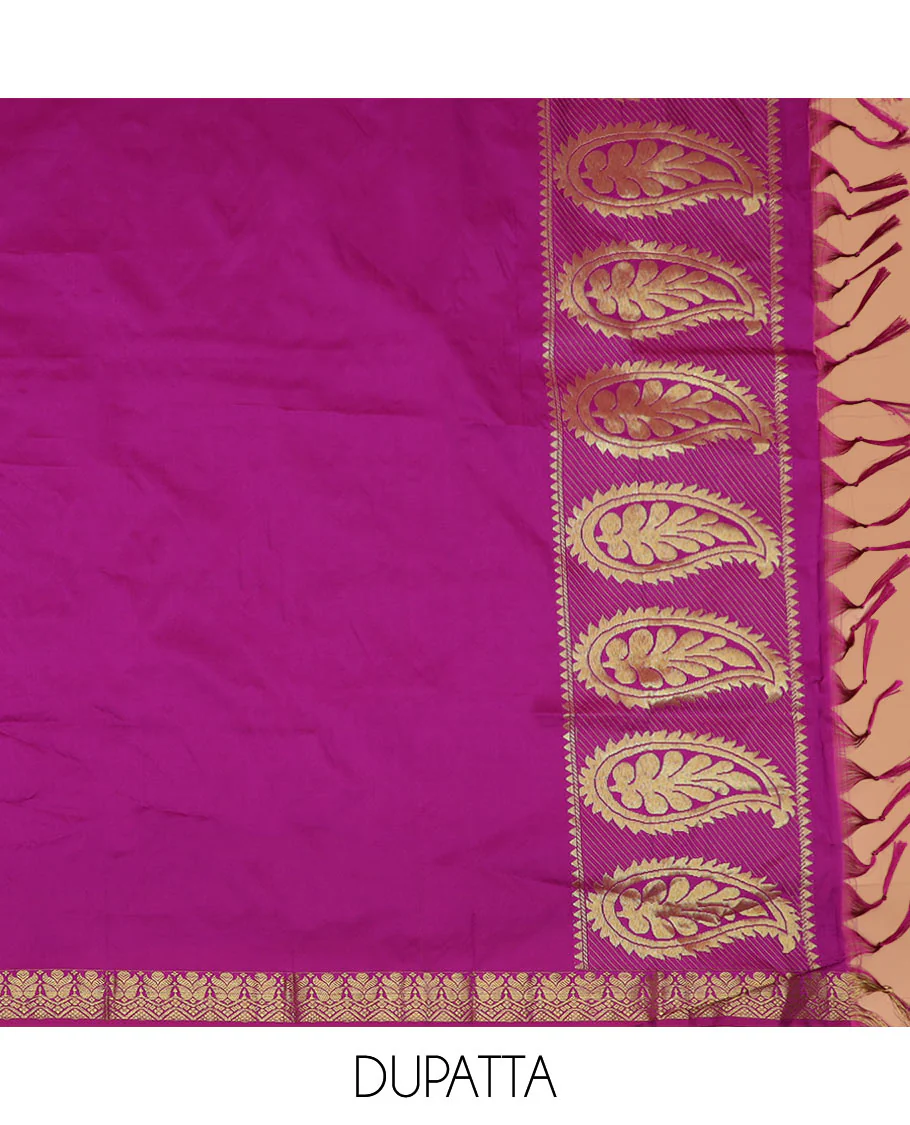 Pale green floral jacquard art silk half-saree saree with contrast meenakari bordered skirt, contrast jacquard blouse, and a contrast zari paisleys woven dhavani - Image 4