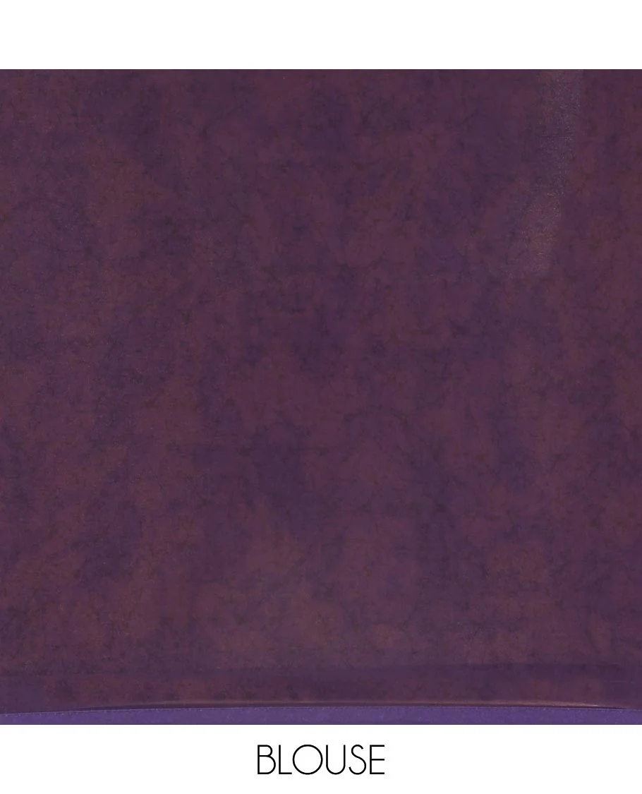 Purple Chiffon Saree Adorned with Silhouette-Style Floral Vine Print, Subtly Made Lace Border, Self-Printed Pallu, and Paired with a Plain Blouse - Image 3
