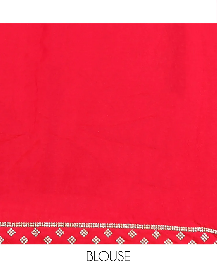 Red stone work designer saree, floral motifs micro-stone work border - Image 5