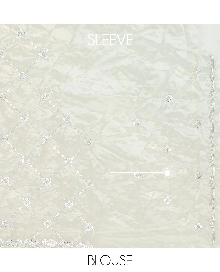 White jaal design kardana & sequins embroidered designer saree, scallop kardana & sequins embroidered border - Image 3